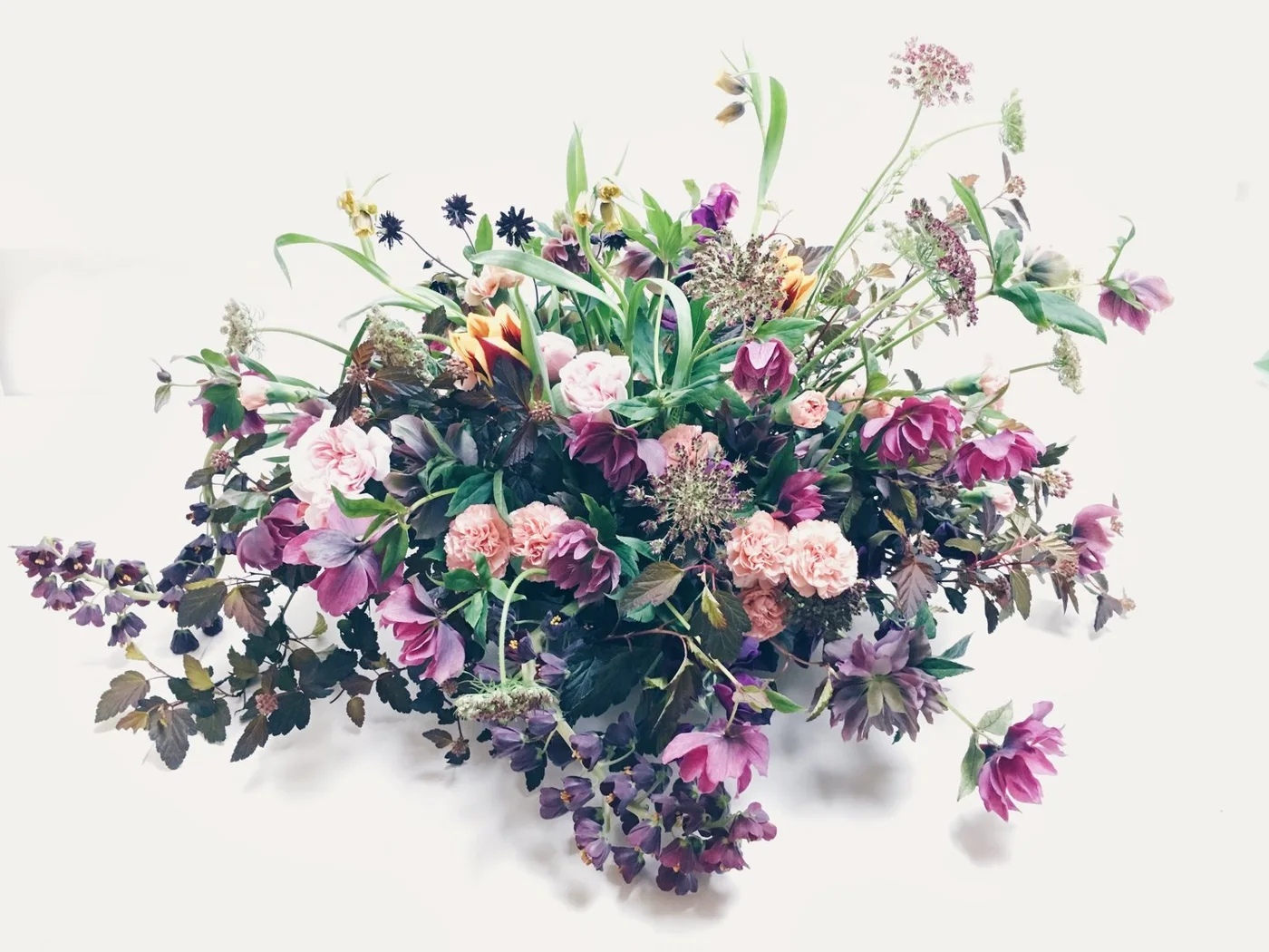 Florali, business photo 4