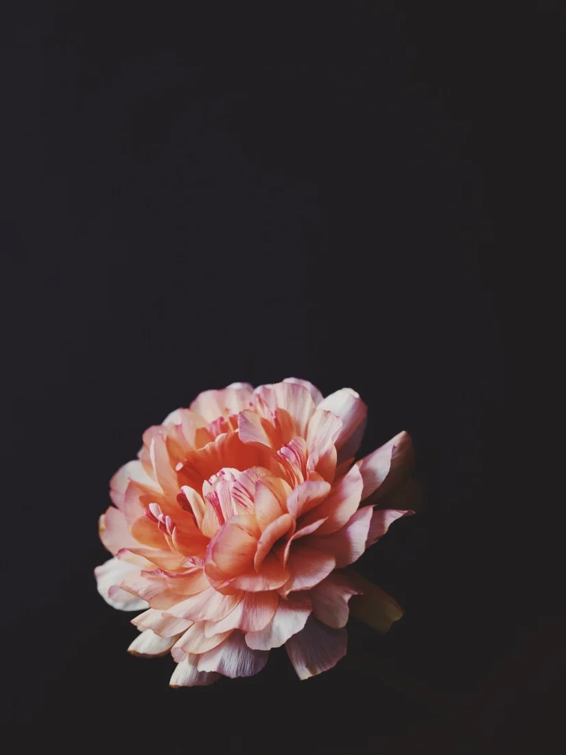 Florali business photo