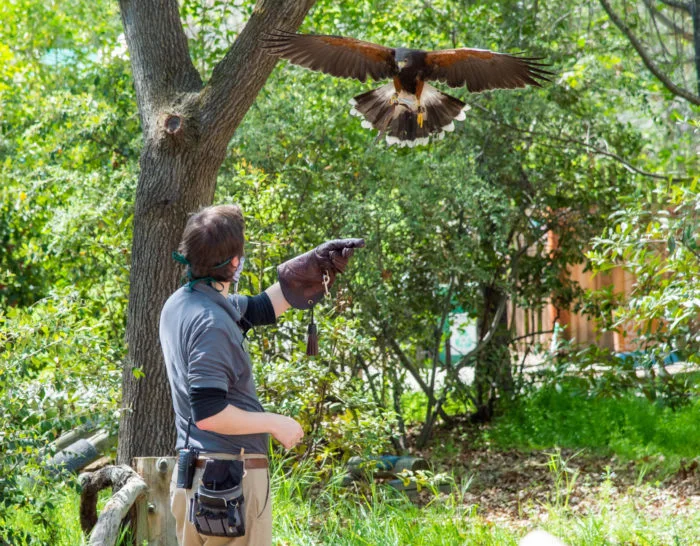 Lindsay Wildlife Experience, business photo 2
