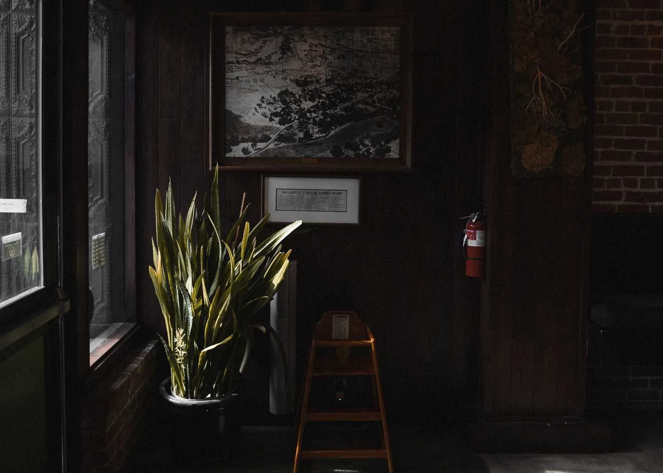 Tellus Coffee, business photo 2